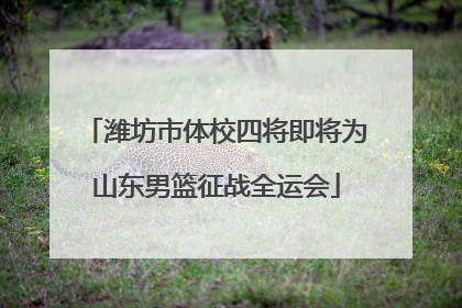 潍坊市体校四将即将为山东男篮征战全运会