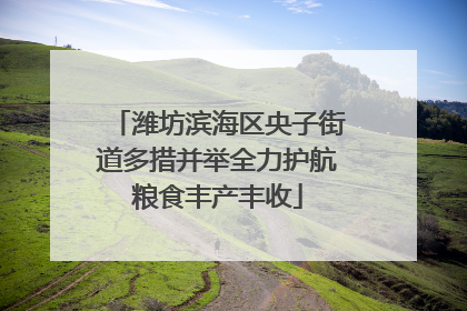 潍坊滨海区央子街道多措并举全力护航粮食丰产丰收