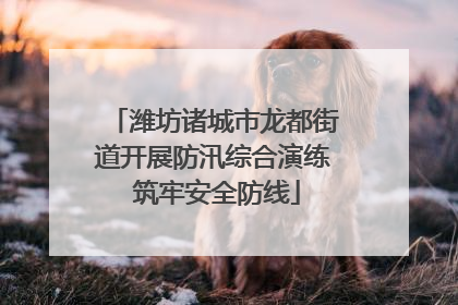 潍坊诸城市龙都街道开展防汛综合演练 筑牢安全防线