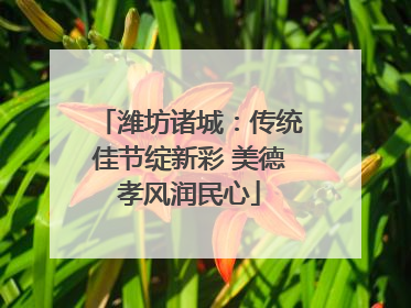 潍坊诸城：传统佳节绽新彩 美德孝风润民心