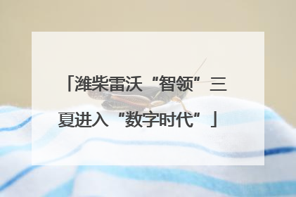 潍柴雷沃“智领”三夏进入“数字时代”