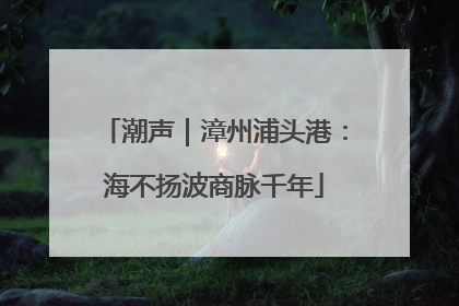 潮声｜漳州浦头港：海不扬波商脉千年