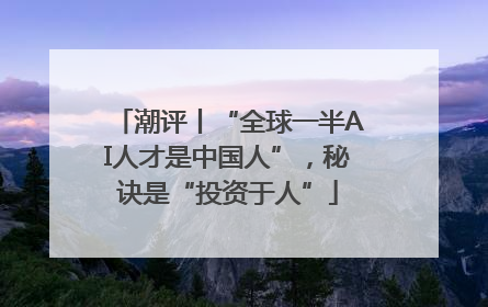潮评丨“全球一半AI人才是中国人”，秘诀是“投资于人”