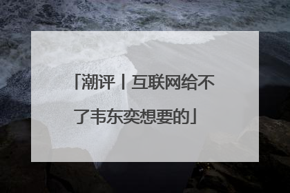 潮评丨互联网给不了韦东奕想要的