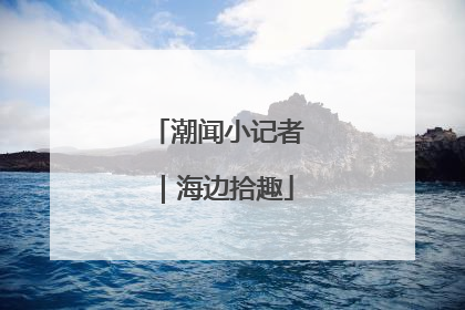 潮闻小记者｜海边拾趣
