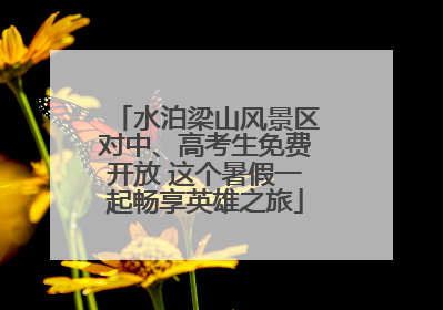水泊梁山风景区对中、高考生免费开放 这个暑假一起畅享英雄之旅