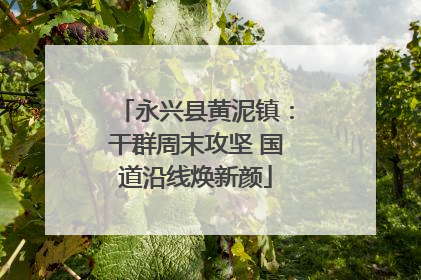 永兴县黄泥镇：干群周末攻坚 国道沿线焕新颜