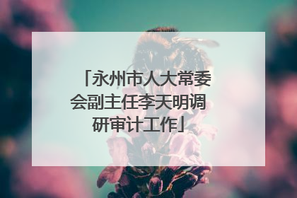 永州市人大常委会副主任李天明调研审计工作