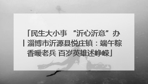 民生大小事 “沂心沂意”办丨淄博市沂源县悦庄镇：端午粽香暖老兵 百岁英雄述峥嵘