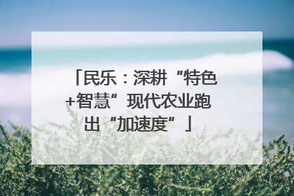 民乐：深耕“特色+智慧”现代农业跑出“加速度”