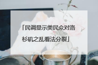 民调显示美民众对洛杉矶之乱看法分裂
