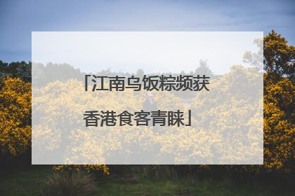 江南乌饭粽频获香港食客青睐