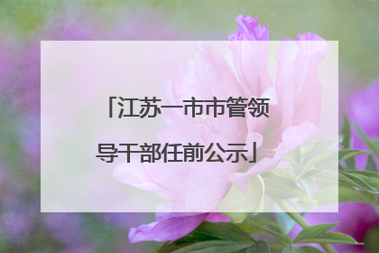 江苏一市市管领导干部任前公示