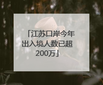 江苏口岸今年出入境人数已超200万