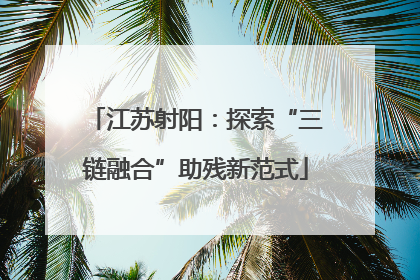江苏射阳：探索“三链融合”助残新范式