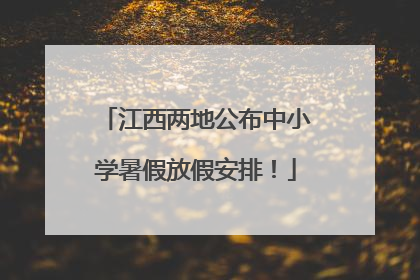 江西两地公布中小学暑假放假安排！
