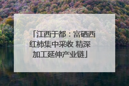 江西于都：富硒西红柿集中采收 精深加工延伸产业链