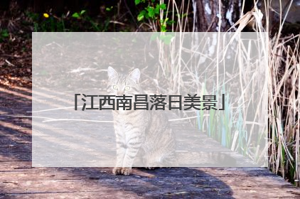 江西南昌落日美景