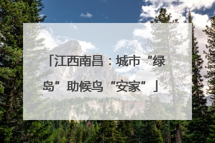 江西南昌：城市“绿岛”助候鸟“安家”