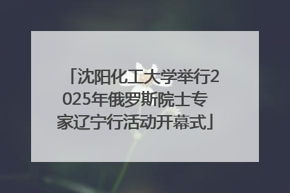 沈阳化工大学举行2025年俄罗斯院士专家辽宁行活动开幕式