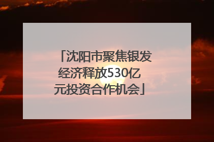 沈阳市聚焦银发经济释放530亿元投资合作机会