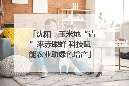沈阳：玉米地“请”来赤眼蜂 科技赋能农业助绿色增产