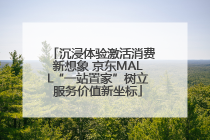 沉浸体验激活消费新想象 京东MALL“一站置家”树立服务价值新坐标