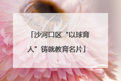 沙河口区“以球育人”铸就教育名片