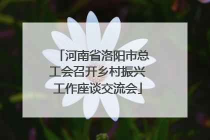 河南省洛阳市总工会召开乡村振兴工作座谈交流会
