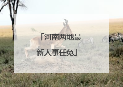 河南两地最新人事任免