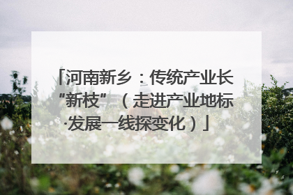 河南新乡：传统产业长“新枝”（走进产业地标·发展一线探变化）