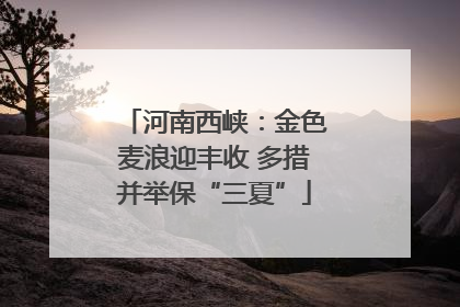 河南西峡：金色麦浪迎丰收 多措并举保“三夏”