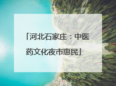 河北石家庄：中医药文化夜市惠民