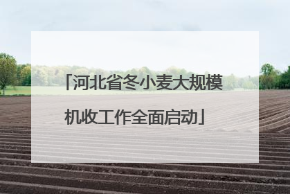 河北省冬小麦大规模机收工作全面启动