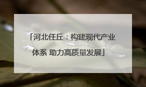 河北任丘：构建现代产业体系 助力高质量发展