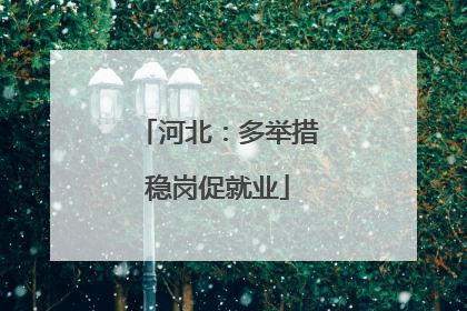 河北：多举措稳岗促就业