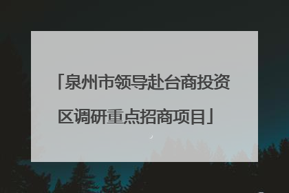 泉州市领导赴台商投资区调研重点招商项目