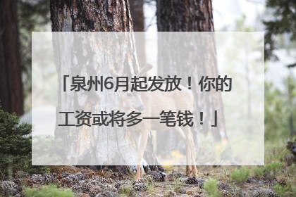 泉州6月起发放！你的工资或将多一笔钱！