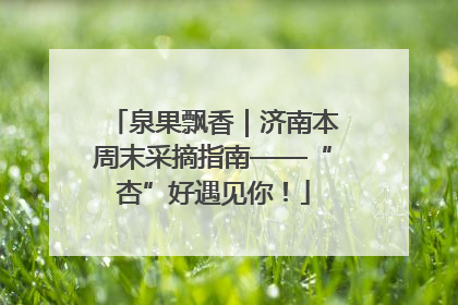 泉果飘香｜济南本周末采摘指南——“杏”好遇见你！