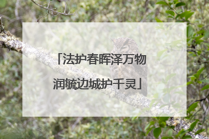 法护春晖泽万物 润毓边城护千灵