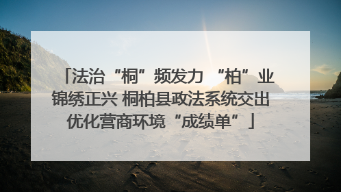 法治“桐”频发力 “柏”业锦绣正兴 桐柏县政法系统交出优化营商环境“成绩单”