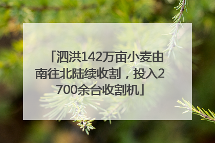 泗洪142万亩小麦由南往北陆续收割，投入2700余台收割机