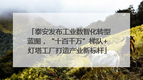 泰安发布工业数智化转型蓝图，“十百千万”梯队+灯塔工厂打造产业新标杆