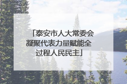 泰安市人大常委会凝聚代表力量赋能全过程人民民主