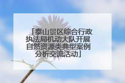 泰山景区综合行政执法局机动大队开展自然资源类典型案例分析交流活动