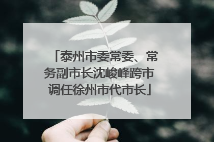 泰州市委常委、常务副市长沈峻峰跨市调任徐州市代市长