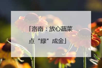 洛南：放心蔬菜点“绿”成金