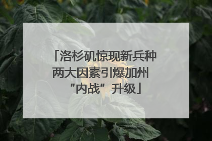 洛杉矶惊现新兵种 两大因素引爆加州“内战”升级