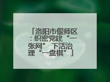 洛阳市偃师区：织密党建“一张网” 下活治理“一盘棋”