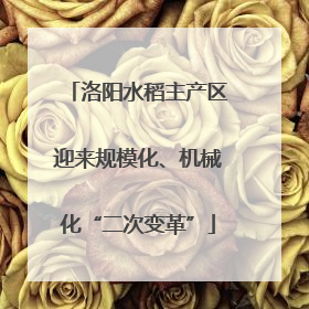 洛阳水稻主产区迎来规模化、机械化“二次变革”